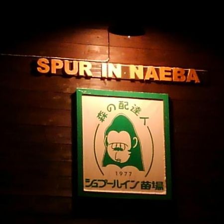 Spur In Naeba Villa Kusatsu  Exterior foto
