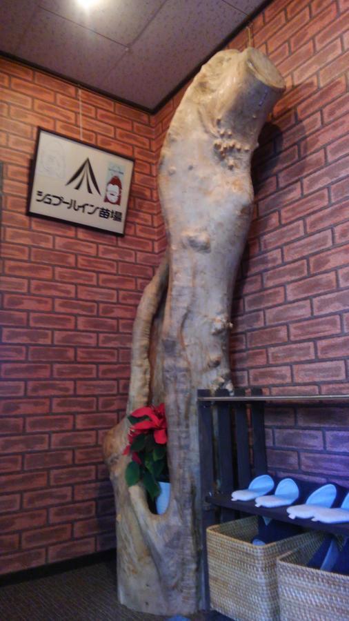 Spur In Naeba Villa Kusatsu  Exterior foto